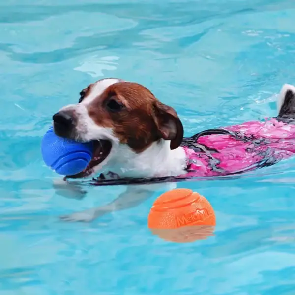 Indestructible Bouncy Rubber Dog Ball - Image 4
