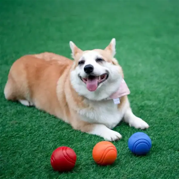 Indestructible Bouncy Rubber Dog Ball - Image 12