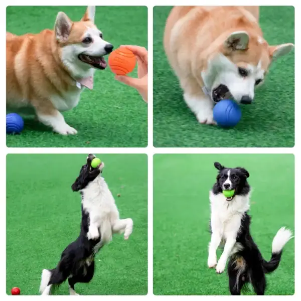Indestructible Bouncy Rubber Dog Ball - Image 3