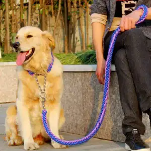 Double-Strand Rope Tactical Lead & Collar Set