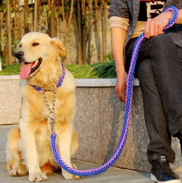 Double-Strand Rope Tactical Lead & Collar Set