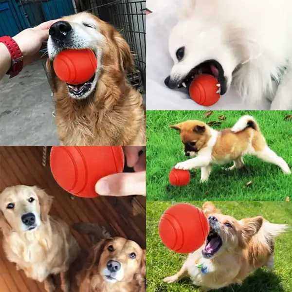 Red Resilient Dog Ball - Image 3