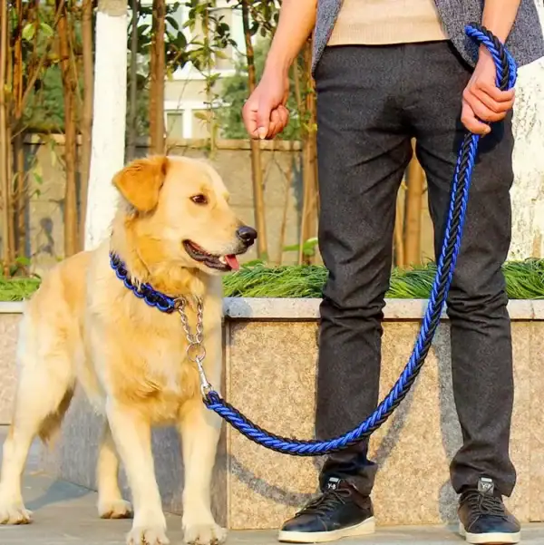 Double-Strand Rope Tactical Lead & Collar Set - Image 2