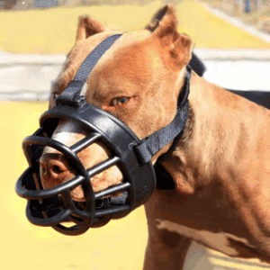 Muzzles
