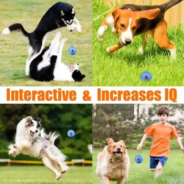 IQ Treat Puzzle Ball for Dogs - Image 5