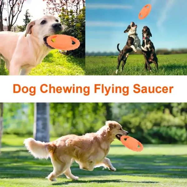EVA Interactive Dog Flying Disc - Image 4