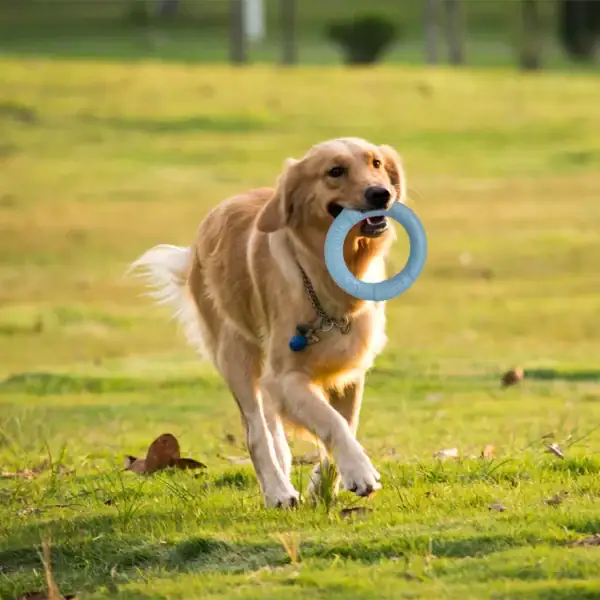 Dual-Action Training Pull Ring - Image 10