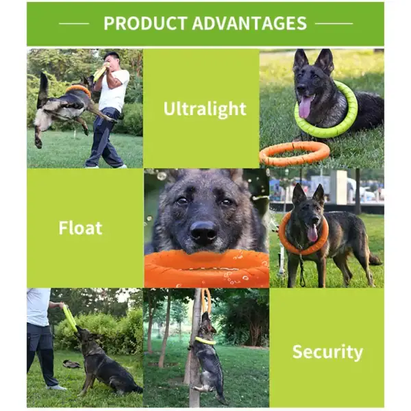 Dual-Action Training Pull Ring - Image 4