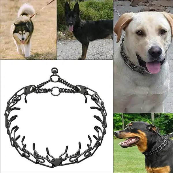 Adjustable Stainless Steel Dog Prong Collar - Image 3