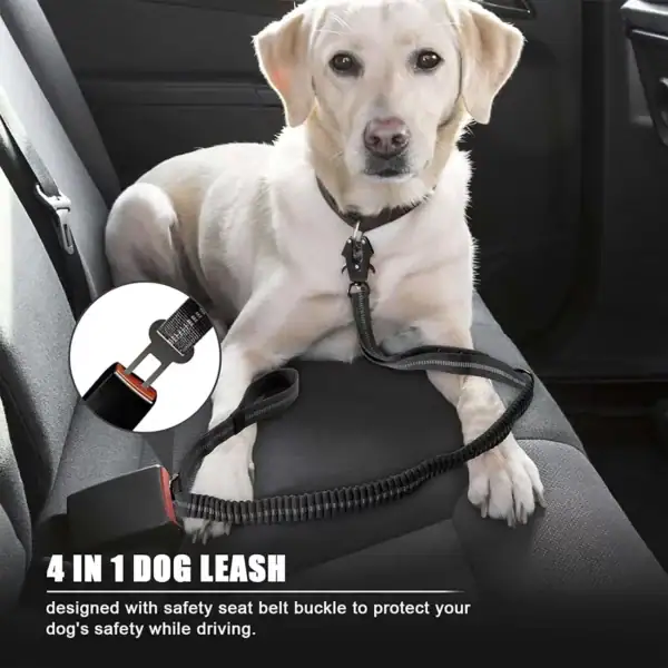 Heavy Duty Tactical Bungee No-Pull Lead for Big Dogs - Image 3