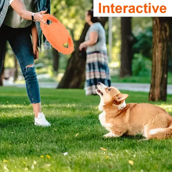 EVA Interactive Dog Flying Disc - Image 3