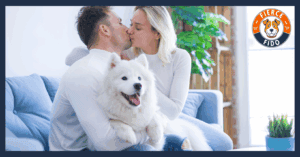 Dog Getting Jealous While Owners Kiss.