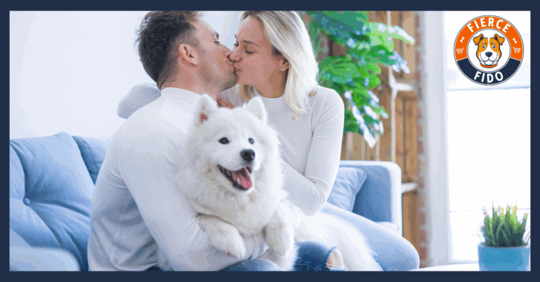 Dog Getting Jealous While Owners Kiss.