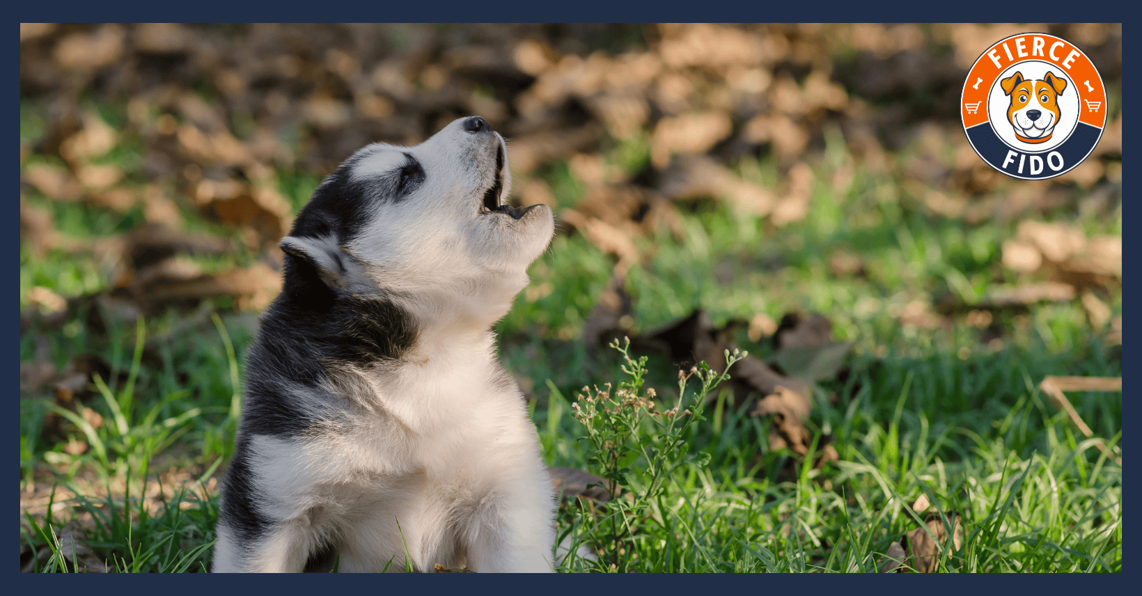 Dog Howling After Owner Leaving.
